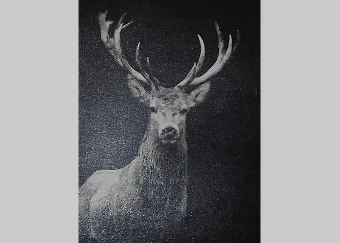 Hébergement de vacances L'ancienne école D'erpigny Érezée